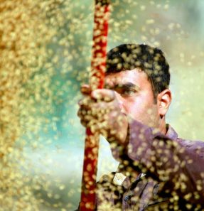 #ANBA 153 – O que acontece na agricultura nos países árabes