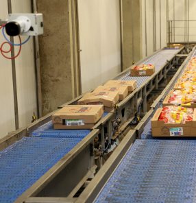 Carne de frango processada: Emirados Árabes Unidos e Arábia Saudita se mantiveram entre os principais destinos em julho