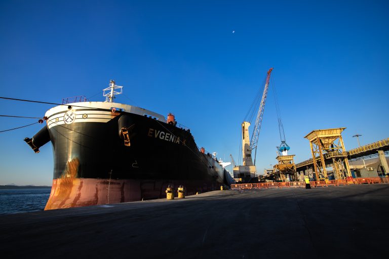 Fertilizantes chegando no Porto de Paranaguá: o processo burocrático da importação será facilitado