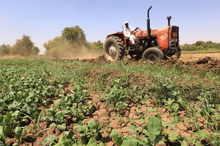 A farmer ploughs a field on his tractor in Shendi, located on the banks of the Nile 190 kilometres (120 miles) from Khartoum, on October 5, 2023. Sudan is among the countries hardest hit by climate change, and in the some regions, the rise in recorded temperatures is double the world average, according to the UN's Food and Agriculture Organisation. (Photo by AFP) Brazil's agricultural research agency, and the Inter-American Institute for Cooperation on Agriculture (IICA) will sign a cooperation by the end of the year to bring 30 technicians from African countries for training at Embrapa facilities