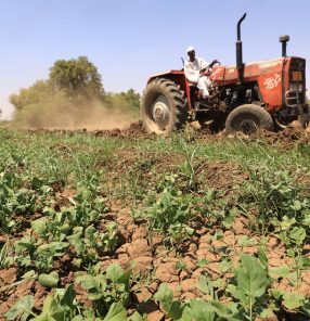 SUDAN-CLIMATE-AGRICULTURE