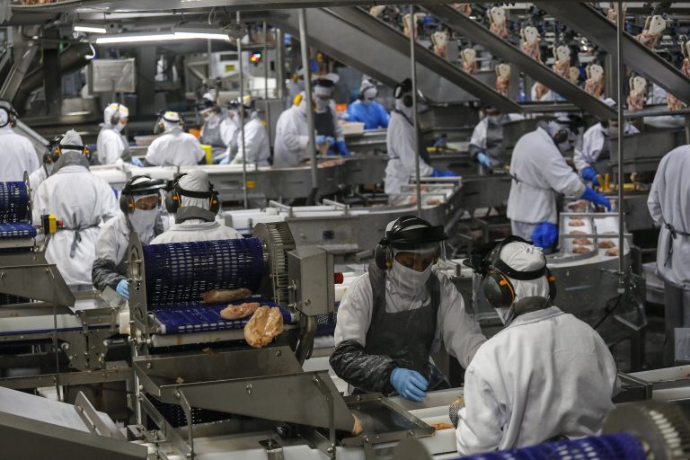 Chicken production line in Brazil’s Paraná: In August, the United Arab Emirates and Saudi Arabia were among the top buyers of the product