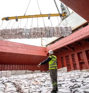 Embarque de açúcar em navio: produto lidera as remessas para o Iraque neste ano