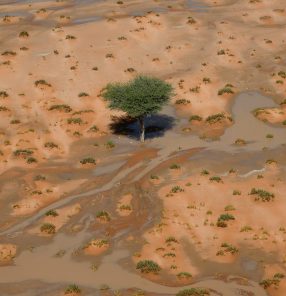 AUTO-MOTO-RALLY-DAKAR-STAGE9