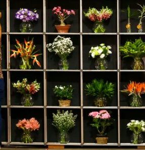 flores marcelo camargo agencia brasil