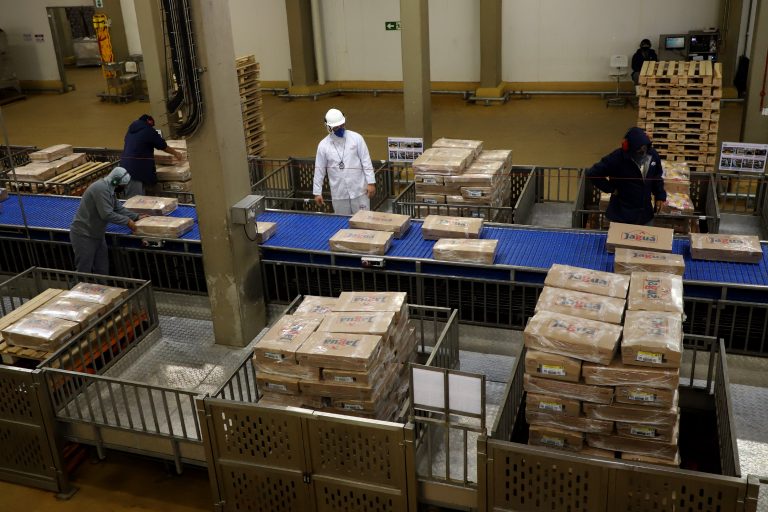 Embalagens de carne de frango processada em frigorífico do Paraná: crescimento das exportações no acumulado do ano