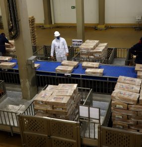 Embalagens de carne de frango processada em frigorífico do Paraná: crescimento das exportações no acumulado do ano