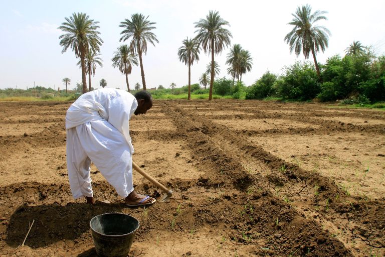 TO GO WITH AFP SUDAN-POLITICS-ECONOMY-FARM