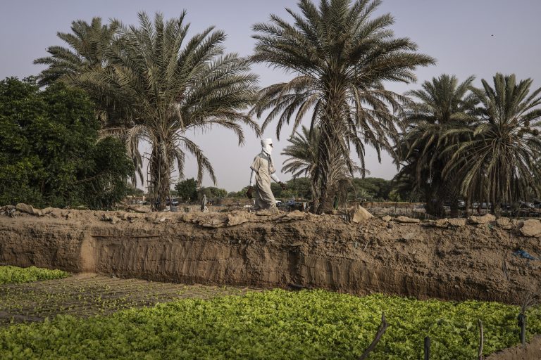 A man walks through an urban farming area in Nouakchott, Mauritania, on June 28, 2024. (Photo by JOHN WESSELS / AFP)
