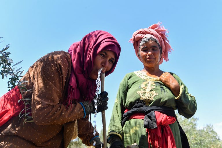 العرب يبحثون عن حلول لمسألة المياه نسوة يشربن الماء في المناطق الزراعية التونسية خلال فترة الجفاف في البلاد