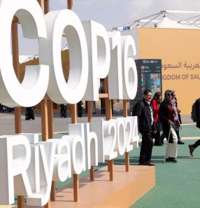 SAUDI-UN-COP16-ENVIRONMENT