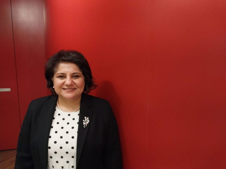 Diplomat Mai Taha Khalil holds a degree in Political Science from Cairo University