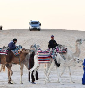 TUNISIA-SAHARA-CAMELS