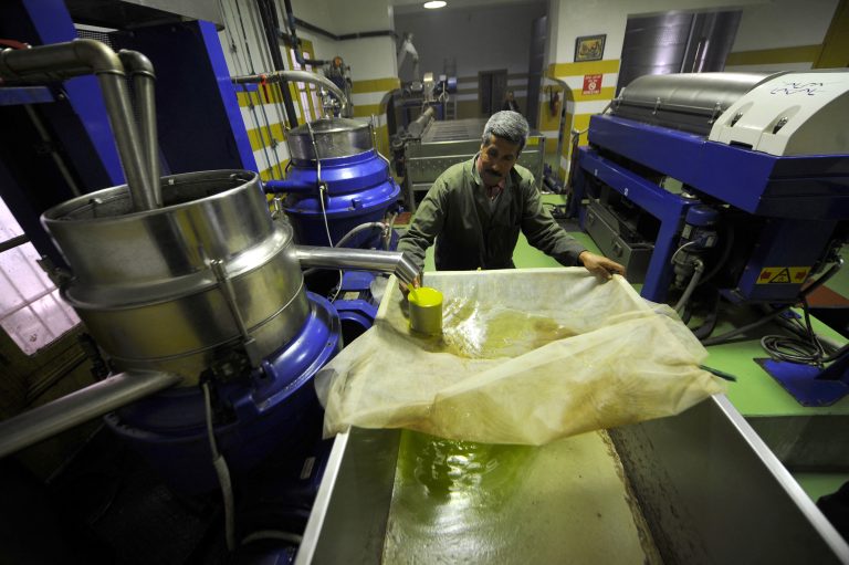 Olive oil production in Ariana, Tunisia: An increase in exports and the average product price boosted the industry’s performance.