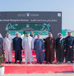 Comitiva real no manguezal de Ras Sanad: objetivo é ter 40 mil mudas irrigadas pelo movimento das marés