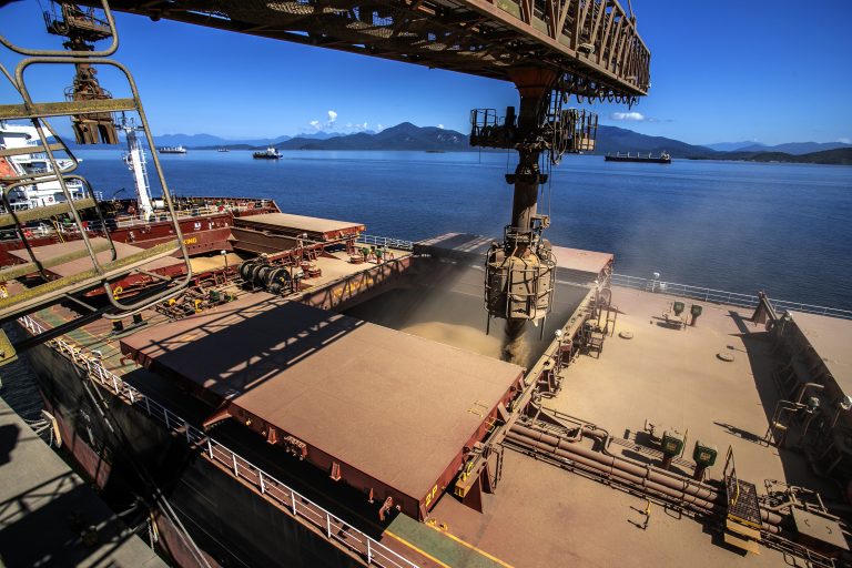 Vendas do agronegócio ao Egito sobem 91,4% Embarque de soja em porto no Paraná: produto continuou a ser o principal exportado pelo agronegócio brasileiro