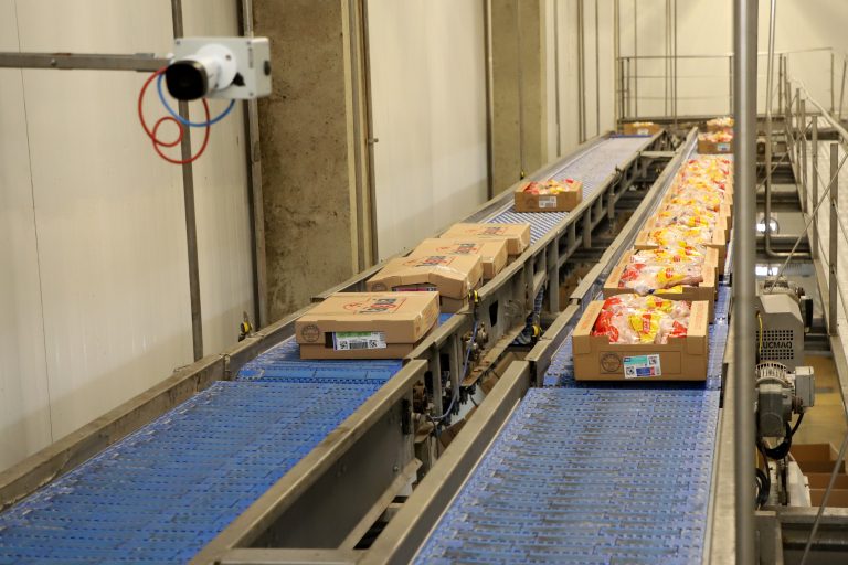 Planta de processamento de carne de frango em Toledo, no Paraná: estado foi o principal exportador no Brasil