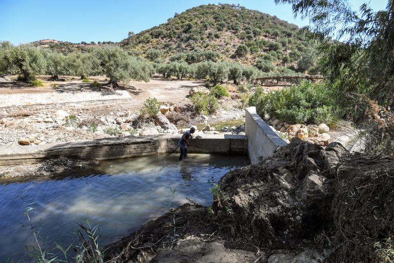 Tunisia adopts water resource management solutions Tunisian farmer Abdallah Gadgadhi, 54, inspects the reservoir of a small irrigation dam built by locals in the northwestern Ghardimaou region on September 26, 2024. - With parched crops on one side and lush green plants on the other, the small farming project in Ghardimaou demonstrates how foreign funding coupled with dogged local efforts can help tackle the impact of climate change. (Photo by FETHI BELAID / AFP)