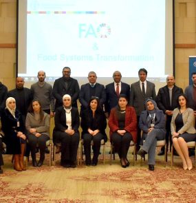 Parceria envolverá profissionais de instituições públicas da Jordânia, além da FAO