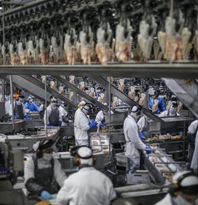 Processamento de carne de frango no Paraná: receitas com exportações também cresceram no mês passado