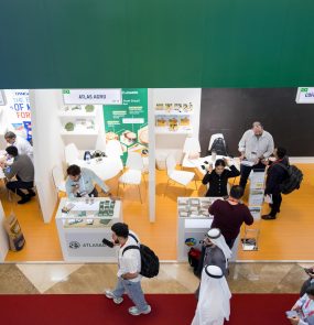 gulfood 2025 geral 2