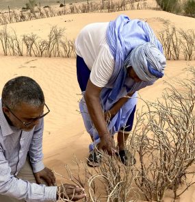 mauritania green wall foto SHIGEKI TAOYomiuriThe Yomiuri Shimbun via AFP