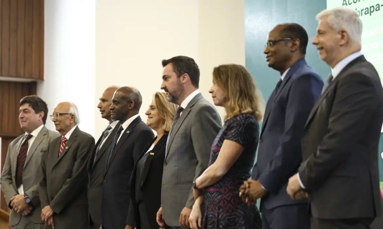 Brazil to welcome African agricultural researchers Seminar brought together representatives from Brazil and Africa in Brasília