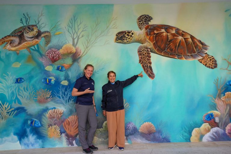 Heloisa Schurmann (à direita) conheceu o projeto de reabilitação de tartarugas do Jumeirah Al Naseem