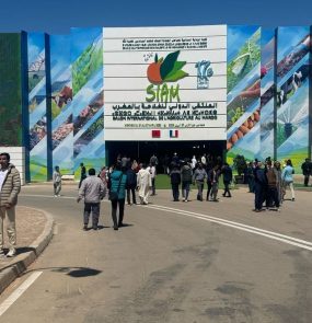 siam marrocos 2025 entrada