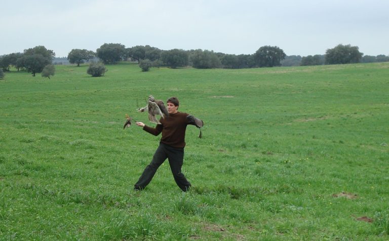 Como treinar seu falcão Delo Verginio, sócio-proprietário da Falco Brasil, em sessão de voos à isca (lure-flying) durante estágio em 2010 na Coudelaria de Alter Real, em Alter do Chão, Portugal