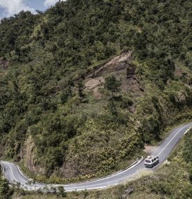 Frentes nacionais se unem por florestas em Comores