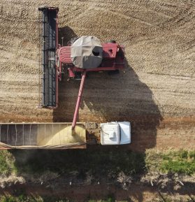 Soja: principal produto da agropecuária exportado pelo Brasil