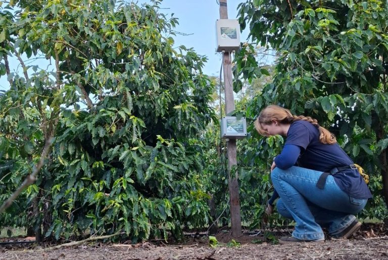 مؤسسة الشركة جوليانا بوليزيل تهتم بأجهزة الاستشعار التي تم انشاؤها لتحسين استخدام الماء وعملية الري