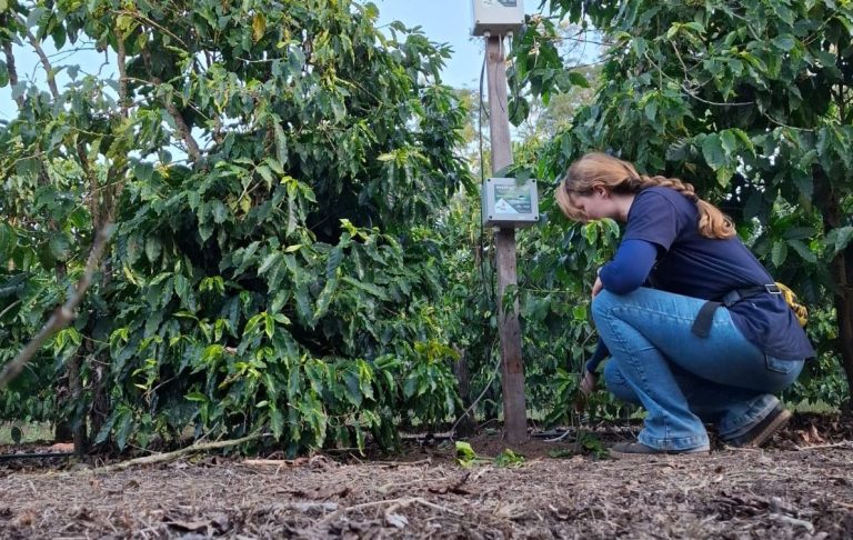 Founder Juliana Polizel works with sensors designed to optimize water use and automate irrigation