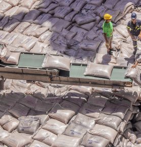 Açúcar foi um dos principais produtos exportados para a Líbia até julho deste ano