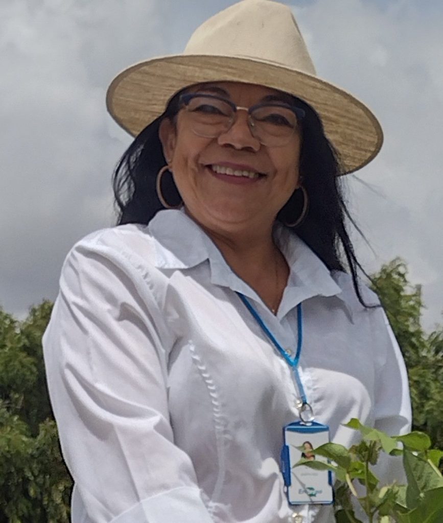 Nair Arriel coordinates sesame genetic improvement at Embrapa