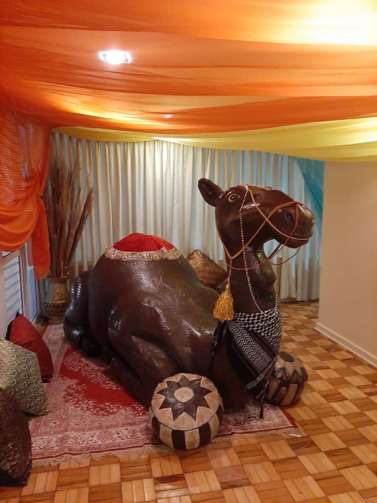 Camel featured as an attraction at themed parties