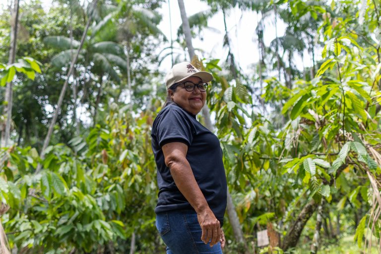 Chocolate sustains forest on island in Pará Dona Nena amid the forest where she grows the cocoa used in her chocolates