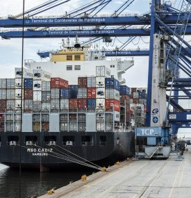 Egito abre mercado para carne de pato do Brasil