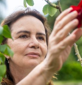 lucia helena galvao 1