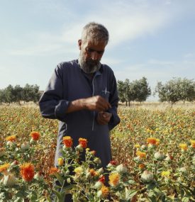 Seasonal Harvest Underway In Northwest