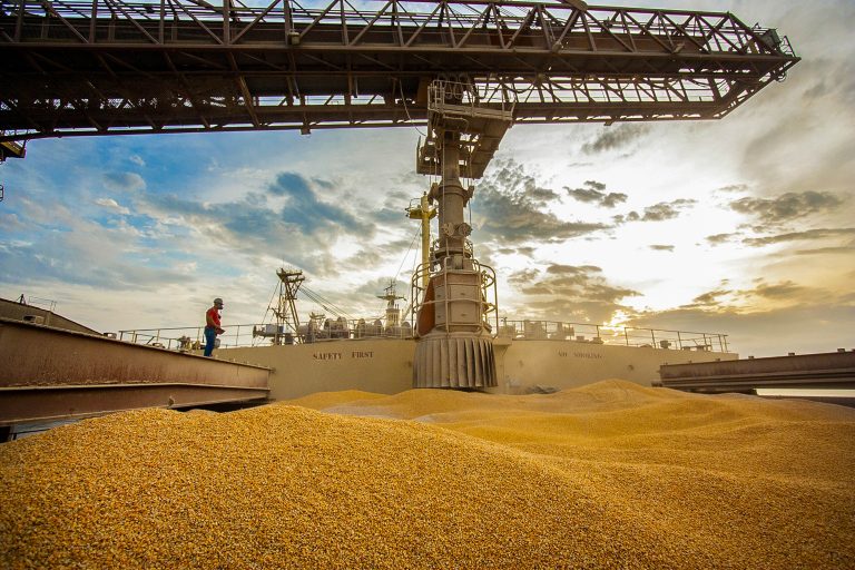 CNA: Mercosur–UAE agreement could boost trade Corn shipment at a port in Paraná: record grain harvest
