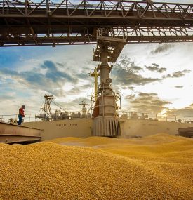 Embarque de milho em porto paranaense: safra recorde de grãos