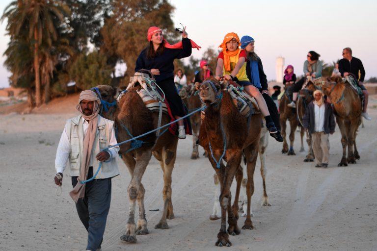 Tunísia registra turismo recorde em 2025 Guia passeia com turistas em camelos no sul tunisiano