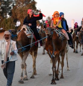 TUNISIA-SAHARA-TOURISM-CAMEL