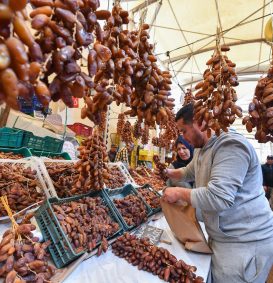 Tunísia prevê safra recorde de tâmaras