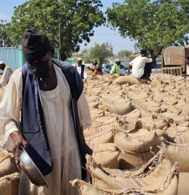 Sudão prepara plano para modernizar agricultura