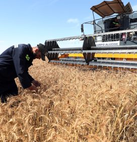 Argélia vai investir em mecanização agrícola