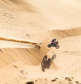 Galeria Brasil-Árabe #46