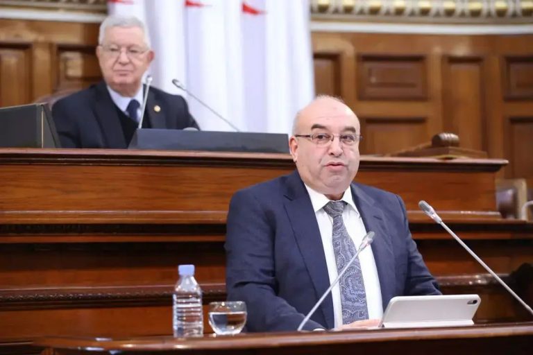 Minister Ouacim Kouidri spoke during a plenary session of the Council of the Nation